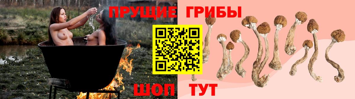 Галлюциногенные грибы ЛСД Березники
